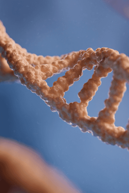 DNA icon