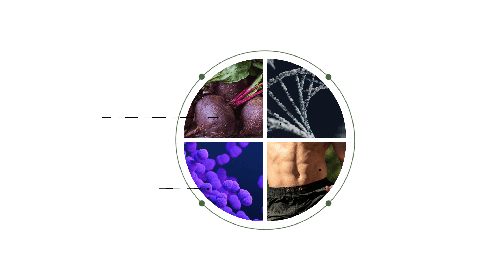 Four signals that impact longevity