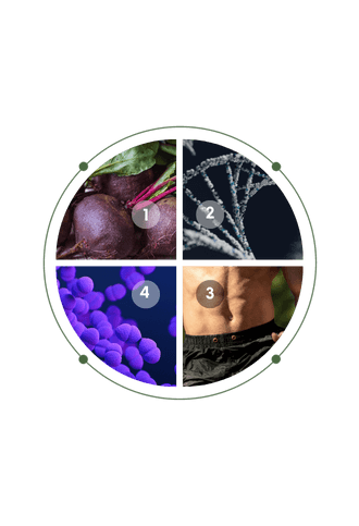 Four signals that impact longevity